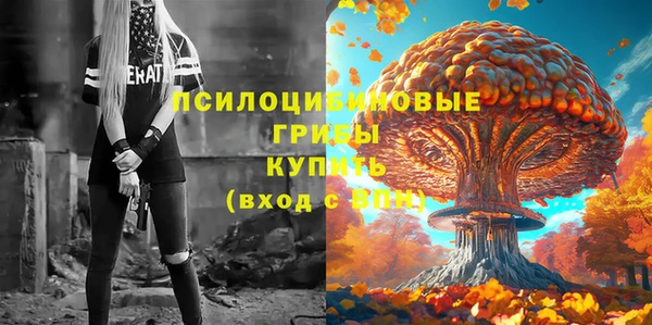 экстази Гусь-Хрустальный