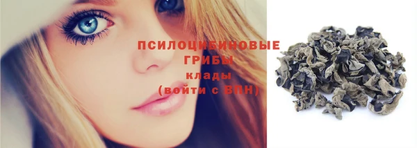 тгк Гусиноозёрск