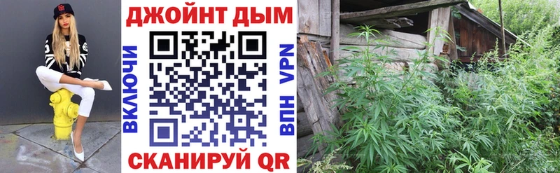 Конопля VHQ  Купить где  Лермонтов 